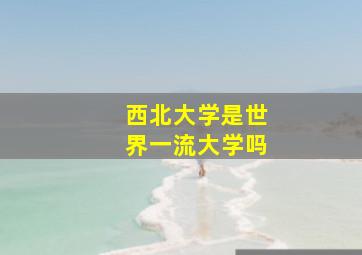 西北大学是世界一流大学吗