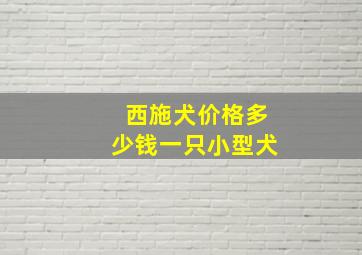 西施犬价格多少钱一只小型犬