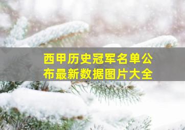 西甲历史冠军名单公布最新数据图片大全