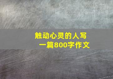 触动心灵的人写一篇800字作文