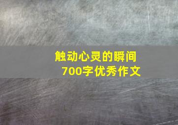 触动心灵的瞬间700字优秀作文