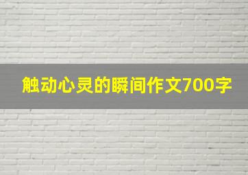 触动心灵的瞬间作文700字