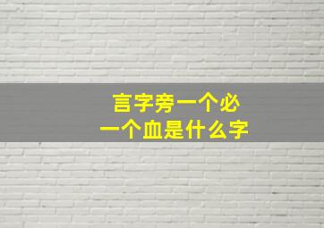 言字旁一个必一个血是什么字