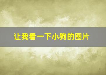 让我看一下小狗的图片