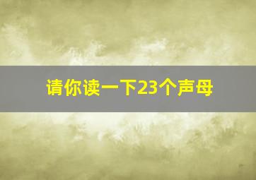 请你读一下23个声母