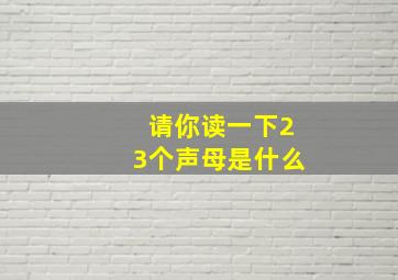 请你读一下23个声母是什么