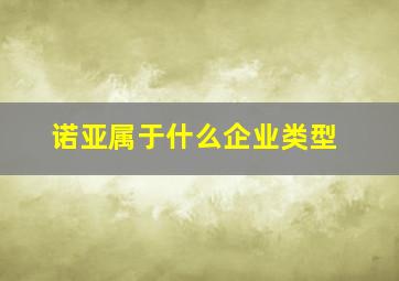 诺亚属于什么企业类型