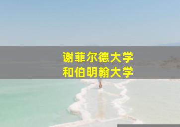 谢菲尔德大学和伯明翰大学