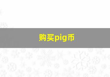 购买pig币