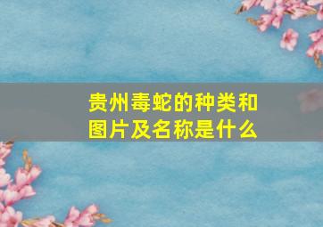 贵州毒蛇的种类和图片及名称是什么