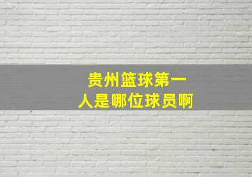 贵州篮球第一人是哪位球员啊