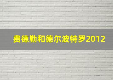 费德勒和德尔波特罗2012