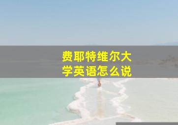 费耶特维尔大学英语怎么说