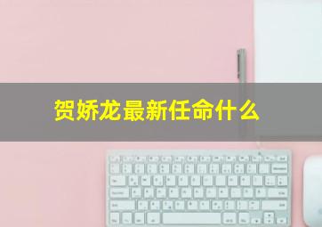 贺娇龙最新任命什么