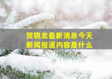 贺晓龙最新消息今天新闻报道内容是什么