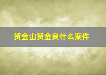 贺金山贺金良什么案件