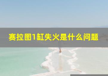 赛拉图1缸失火是什么问题