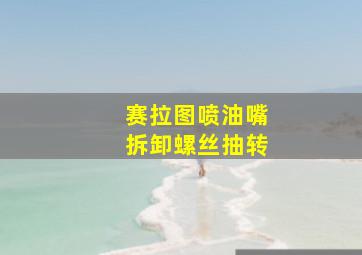 赛拉图喷油嘴拆卸螺丝抽转