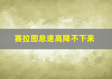 赛拉图怠速高降不下来