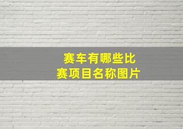 赛车有哪些比赛项目名称图片