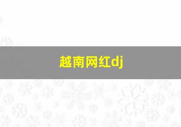 越南网红dj