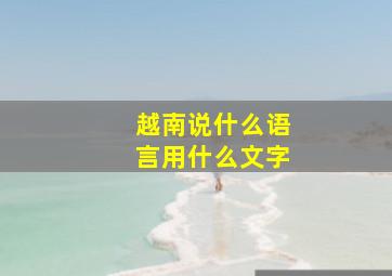 越南说什么语言用什么文字