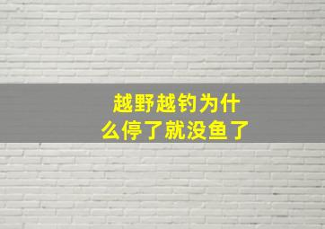 越野越钓为什么停了就没鱼了