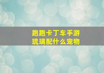 跑跑卡丁车手游琉璃配什么宠物