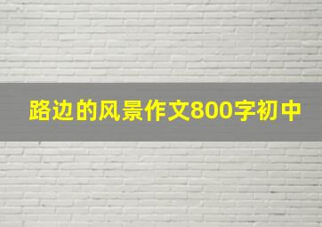 路边的风景作文800字初中