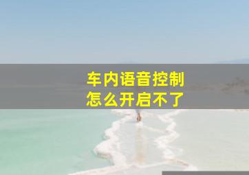 车内语音控制怎么开启不了