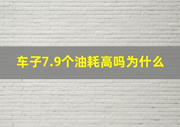 车子7.9个油耗高吗为什么