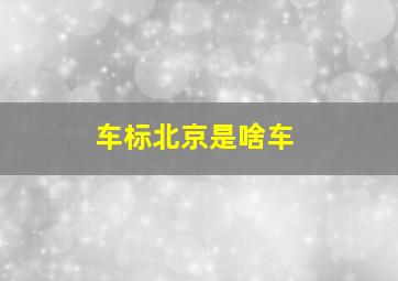 车标北京是啥车