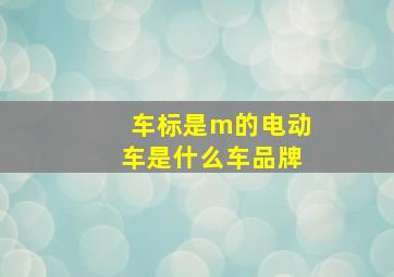 车标是m的电动车是什么车品牌