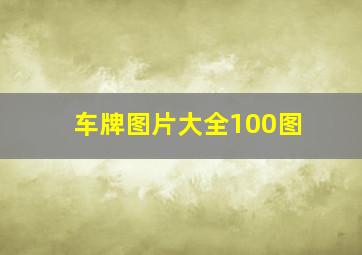 车牌图片大全100图