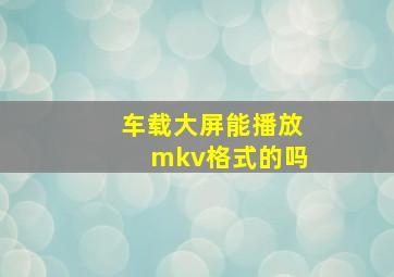 车载大屏能播放mkv格式的吗