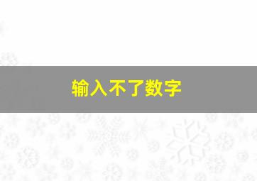 输入不了数字