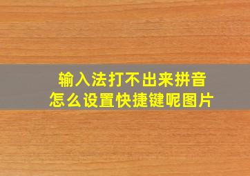 输入法打不出来拼音怎么设置快捷键呢图片