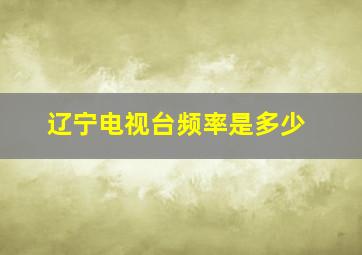 辽宁电视台频率是多少