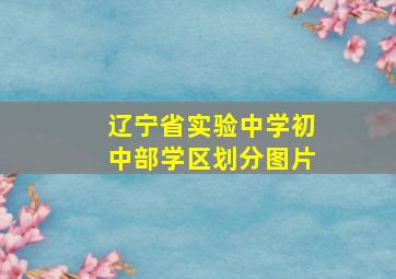 辽宁省实验中学初中部学区划分图片