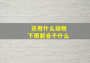 还有什么动物下雨前会干什么