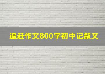 追赶作文800字初中记叙文