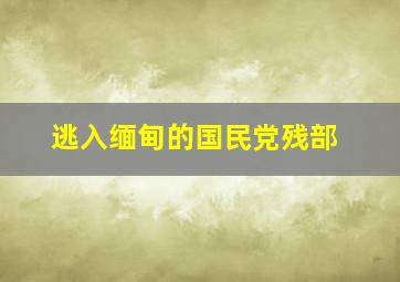 逃入缅甸的国民党残部