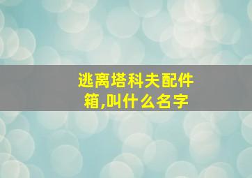 逃离塔科夫配件箱,叫什么名字