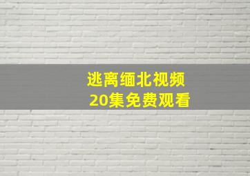 逃离缅北视频20集免费观看