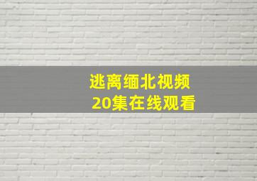 逃离缅北视频20集在线观看