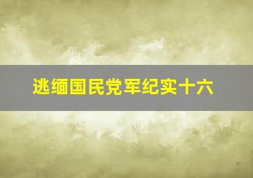 逃缅国民党军纪实十六