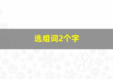 选组词2个字