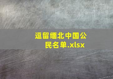 逗留缅北中国公民名单.xlsx