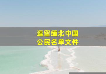 逗留缅北中国公民名单文件