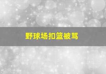 野球场扣篮被骂